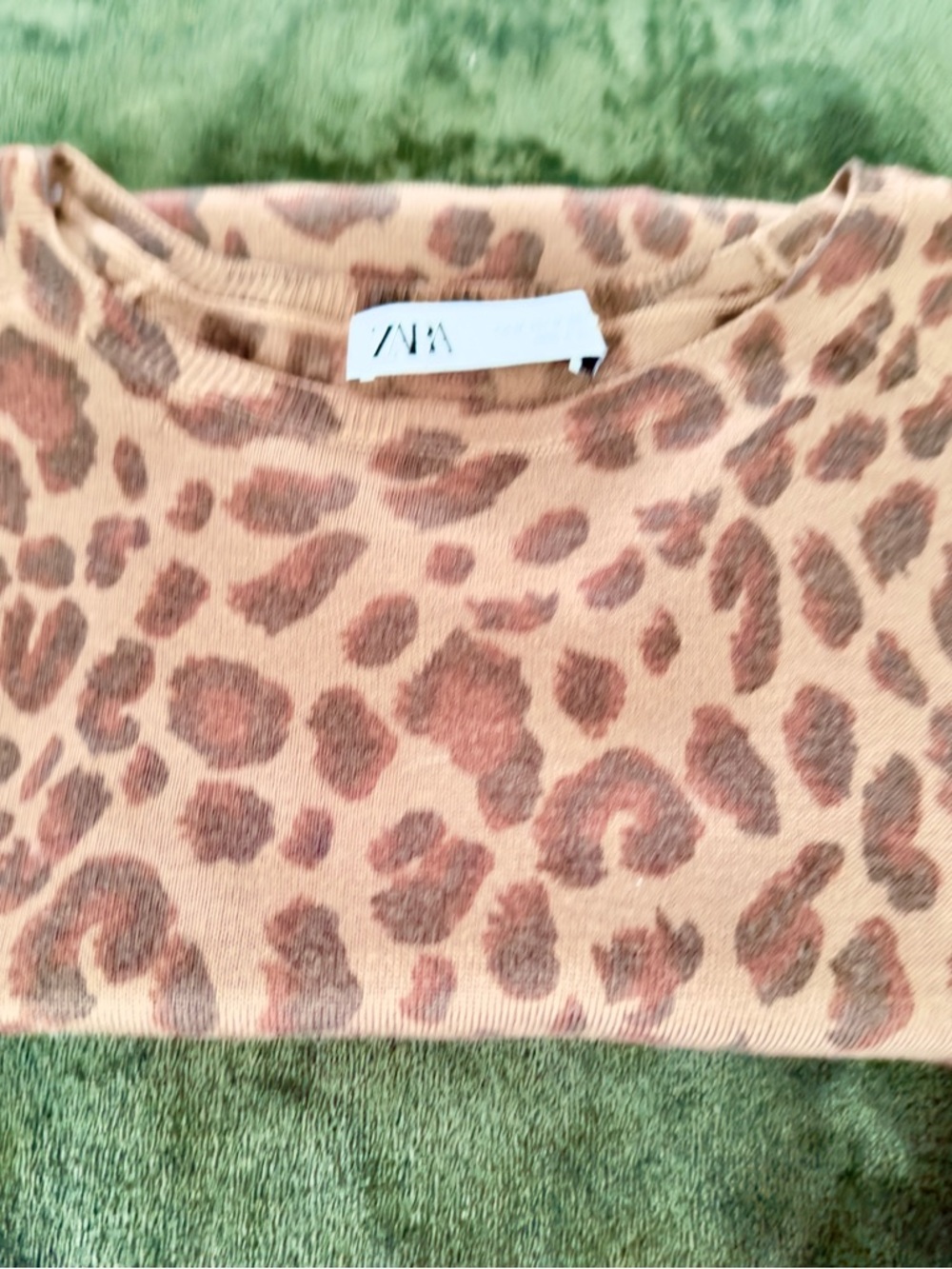 Zara Beige and Brown Leopard Print Crewneck Top